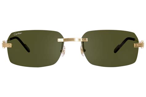 cartier ct0271s 002|Cartier CT0271S Sunglasses .